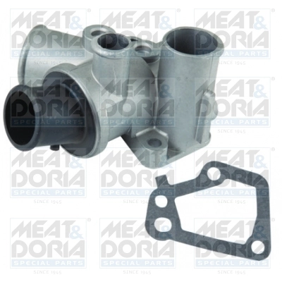 Thermostat, coolant